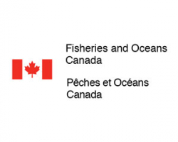 Logo for federal department of fisheries and oceans